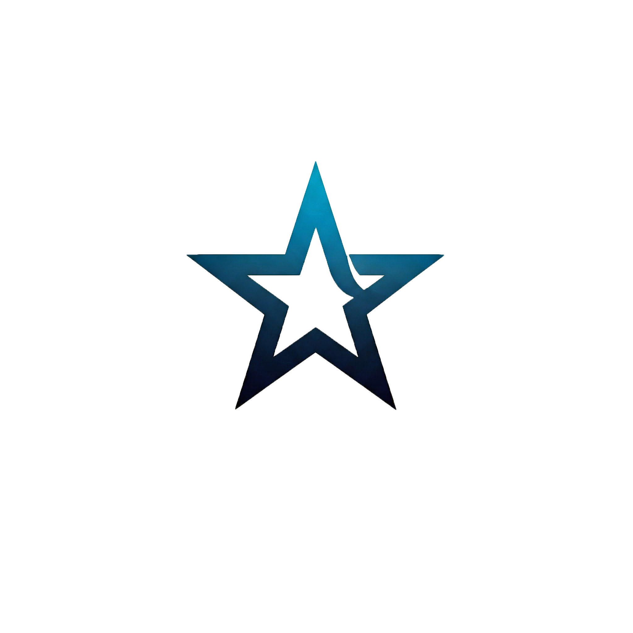 Lone Star Webcraft Logo